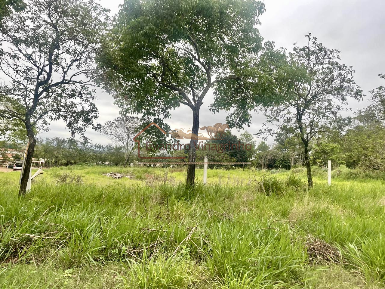 03 TERRENOS - R$ 190.000,00 / CADA