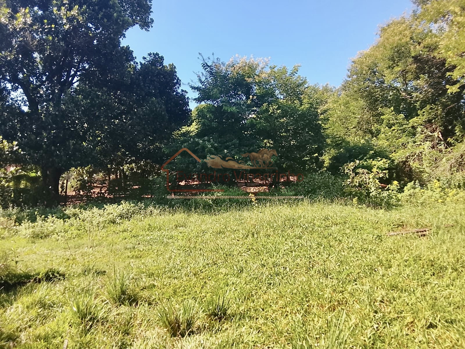 SÍTIO - 2,80 ALQUEIRES