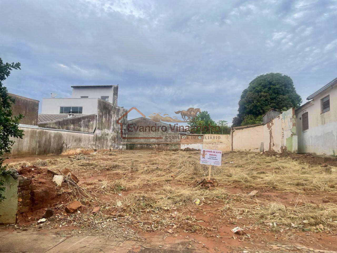 TERRENO